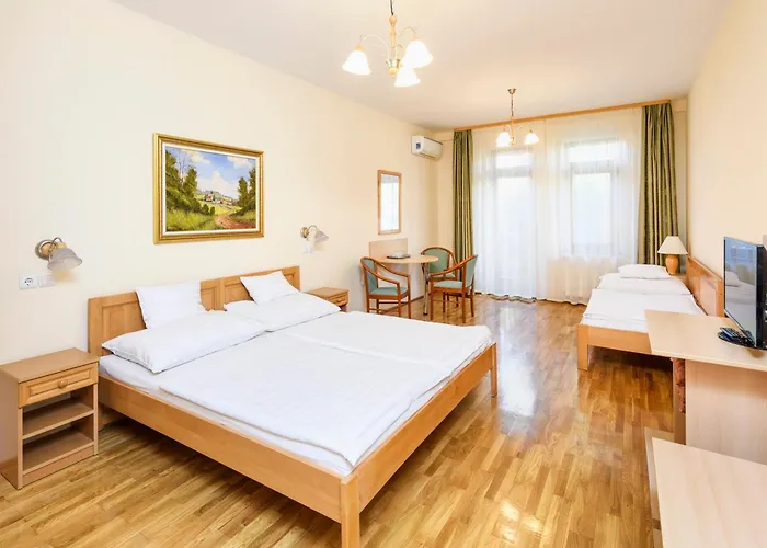 Ametiszt Hotel Harkany