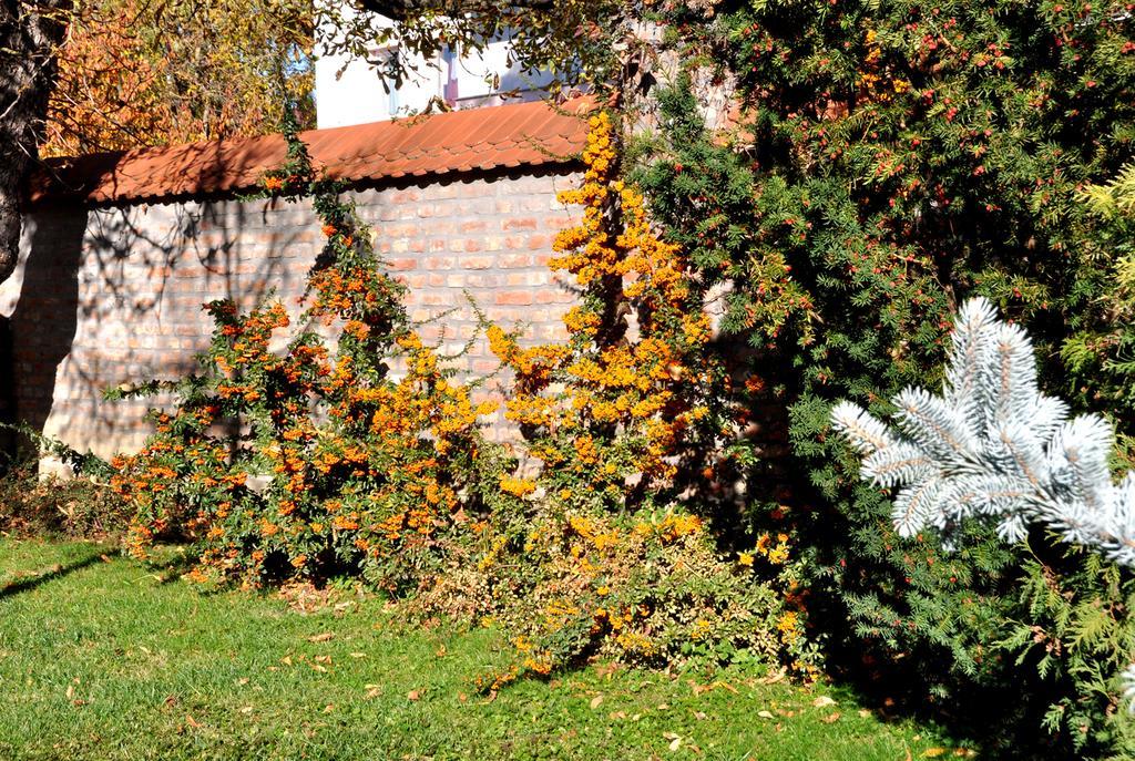 Ametiszt Harkány